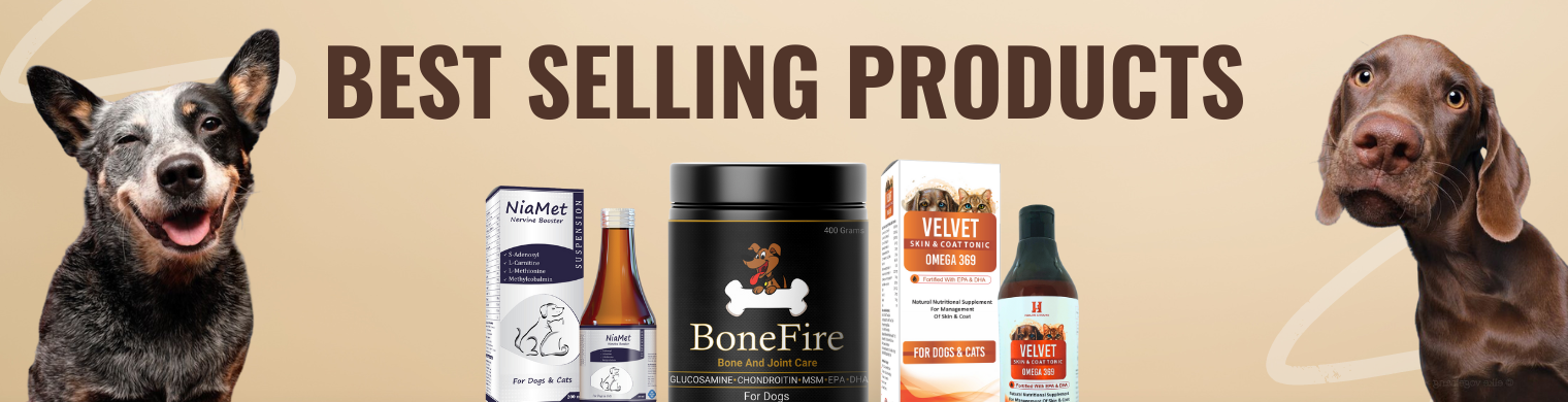 Best Selling Products – Humane & Hound